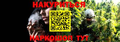 индика Балашиха